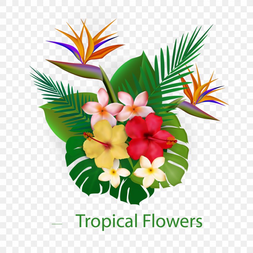 Flower Tropics Euclidean Vector, PNG, 2222x2222px, Flower, Cut Flowers, Flora, Floral Design, Floristry Download Free