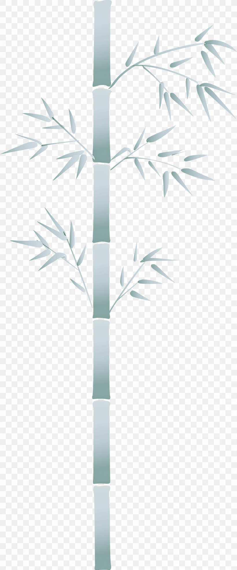 Bamboo Leaf, PNG, 1703x4098px, Bamboo, Branch, Flower, Grass, Leaf Download Free