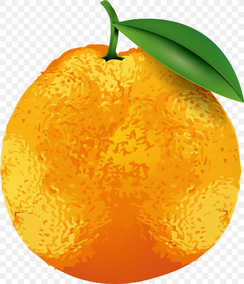 Clementine Tangerine Tangelo, PNG, 2001x2336px, Clementine, Bitter Orange, Calabaza, Citron, Citrus Download Free