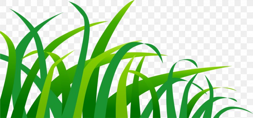Green Euclidean Vector, PNG, 2001x933px, Green, Commodity, Designer, Drawing, Grass Download Free