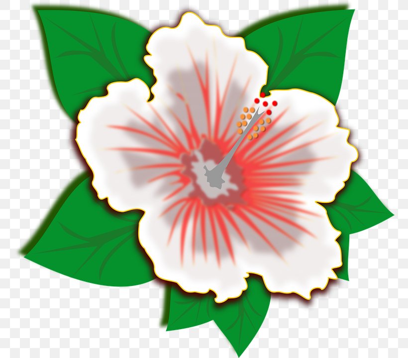 Hibiscus Clip Art, PNG, 766x720px, Hibiscus, Flower, Flowering Plant, Green, Mallow Family Download Free