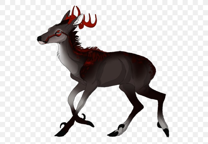 Reindeer Antelope Fauna, PNG, 555x567px, Reindeer, Antelope, Antler, Deer, Fauna Download Free