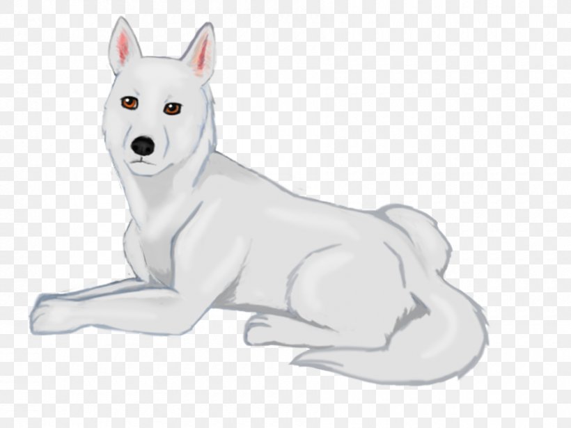 Canaan Dog Kishu White Shepherd Dog Breed Puppy, PNG, 900x675px, Canaan Dog, Breed, Carnivoran, Dog, Dog Breed Download Free