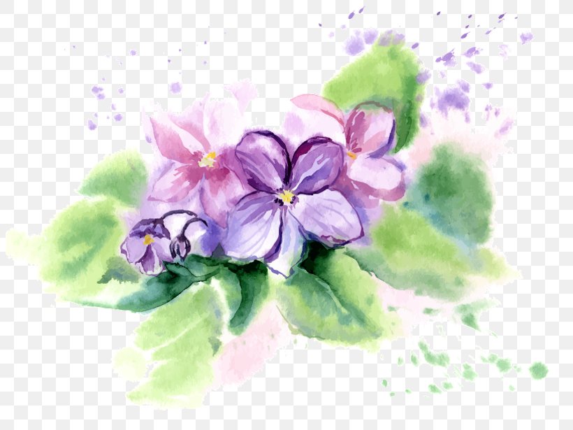 African Violets Flower Watercolor Painting, PNG, 803x615px, Violet, African Violets, Blossom, Color, Floral Design Download Free