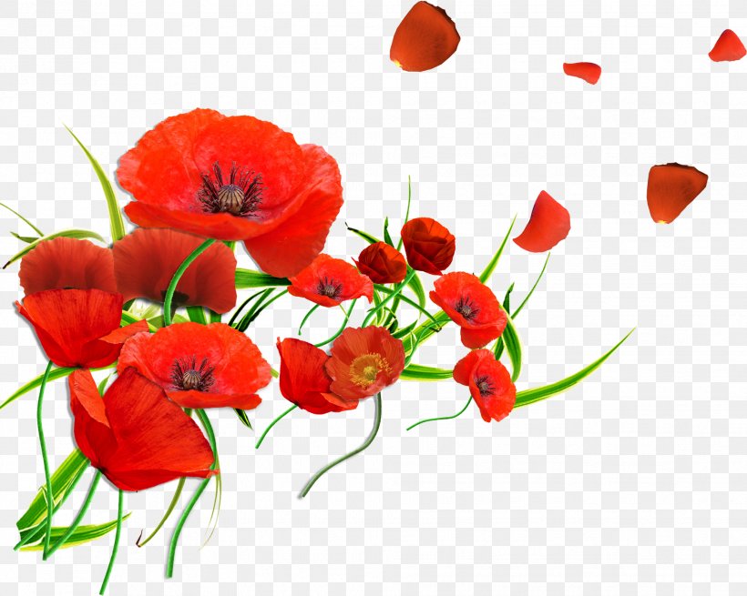 Common Poppy Flower Remembrance Poppy Petal, PNG, 1934x1547px, Poppy, Annual Plant, Anzac Day, Armistice Day, Blue Rose Download Free