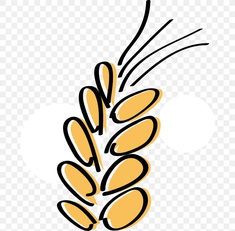 Common Wheat Food Cartoon Clip Art, PNG, 680x806px, Common Wheat, Artwork, Branch, Cartoon, Commodity Download Free