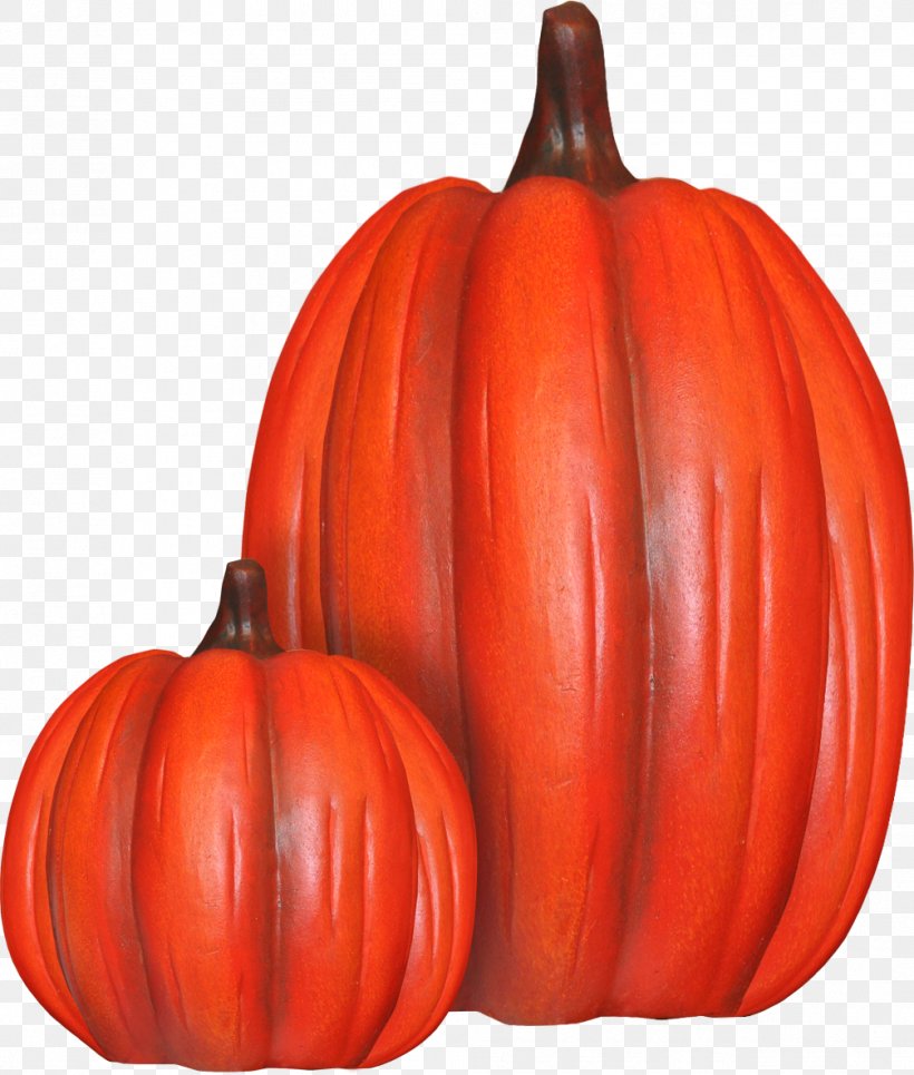 Pumpkin Calabaza Gourd Winter Squash, PNG, 1006x1185px, Pumpkin, Calabaza, Cartoon, Cucumber Gourd And Melon Family, Cucurbita Download Free