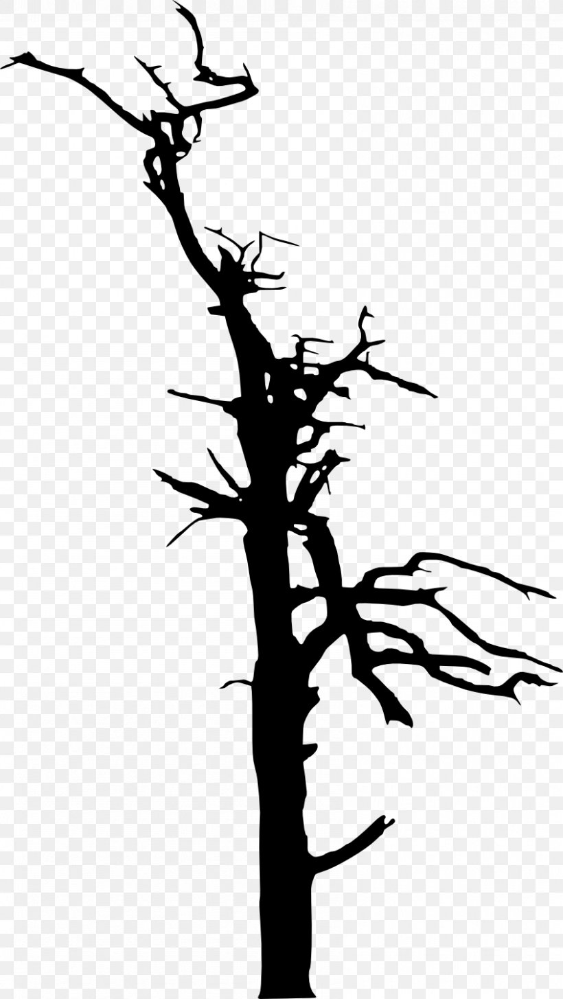 Silhouette Tree Clip Art, PNG, 845x1500px, Silhouette, Art, Artwork, Black And White, Branch Download Free