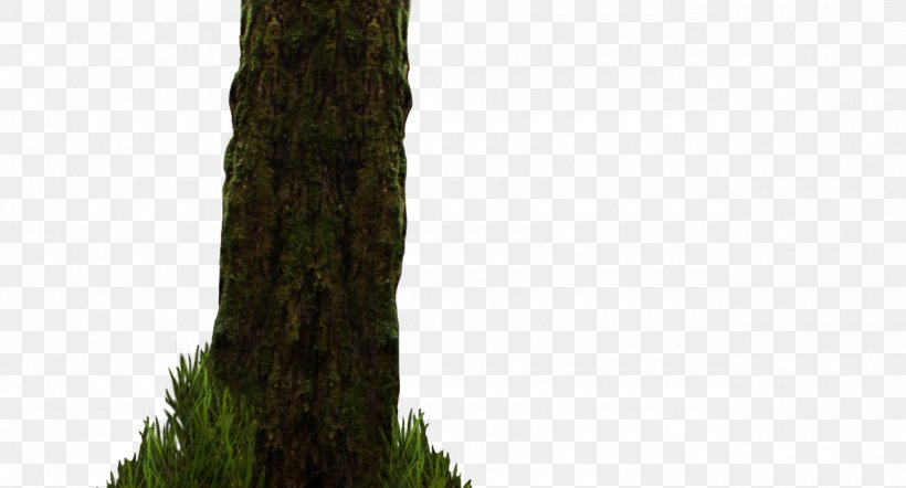 Tree Woody Plant Trunk, PNG, 1280x690px, Tree, Forest, Grass, Plant, Plant Stem Download Free