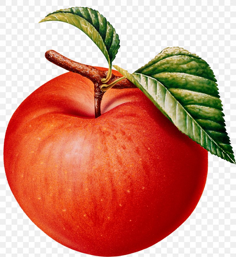 Apple Fruit Pome Clip Art, PNG, 2056x2237px, Apple, Apple Butter, Apples, Auglis, Breakfast Download Free