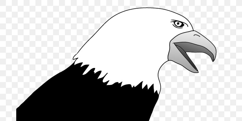 Bald Eagle Clip Art Bird Image, PNG, 709x413px, Bald Eagle, Beak, Bird, Bird Of Prey, Black And White Download Free