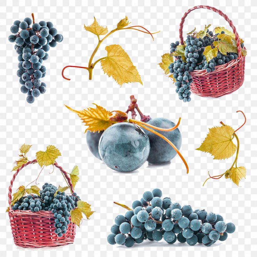 Common Grape Vine Fruit Grape Leaves, PNG, 1024x1024px, Common Grape Vine, Flowering Plant, Food, Fruit, Gift Basket Download Free