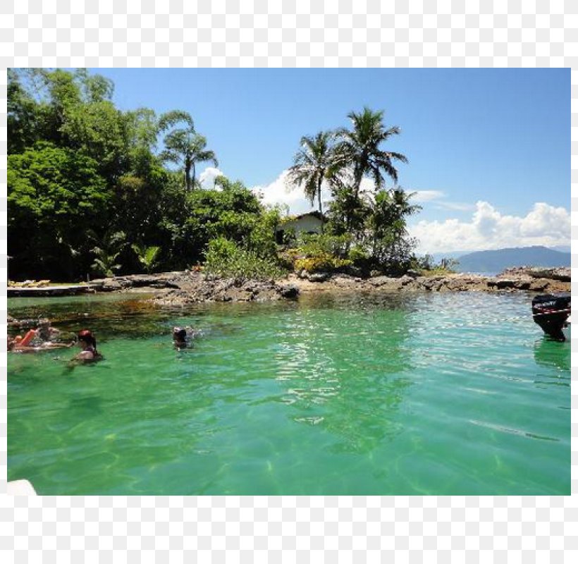 Cove Water Resources Sea Coast Pond, PNG, 800x800px, Cove, Bay, Body Of Water, Caribbean, Coast Download Free
