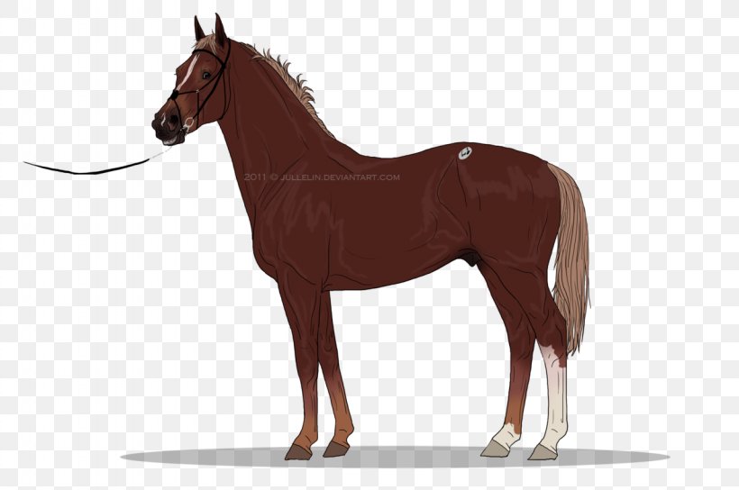 Gypsy Horse Clydesdale Horse Arabian Horse Clip Art, PNG, 1280x850px, Gypsy Horse, Arabian Horse, Black, Bridle, Clydesdale Horse Download Free