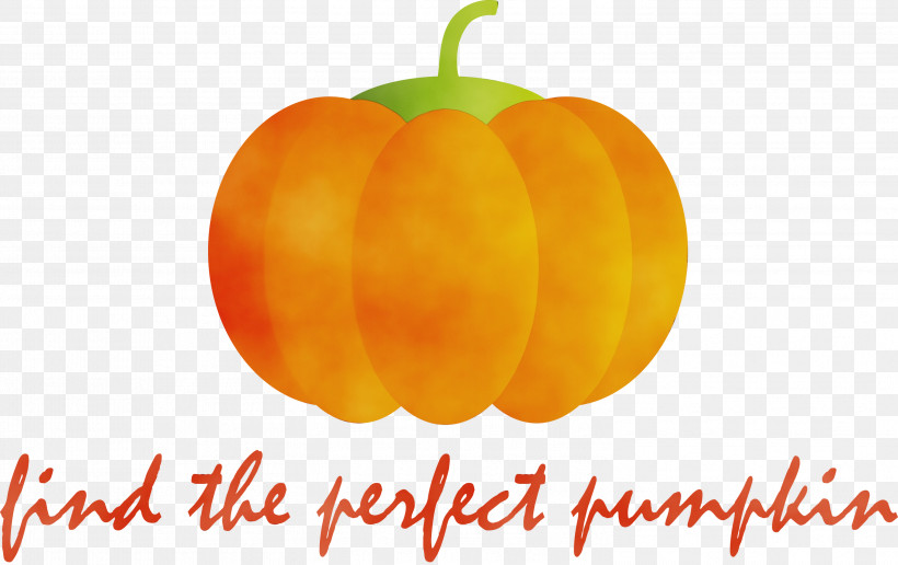 Mandarin Orange Tangerine Gourd Winter Squash, PNG, 2999x1888px, Happy Autumn, Autumn Color, Autumn Harvest, Computer, Gourd Download Free