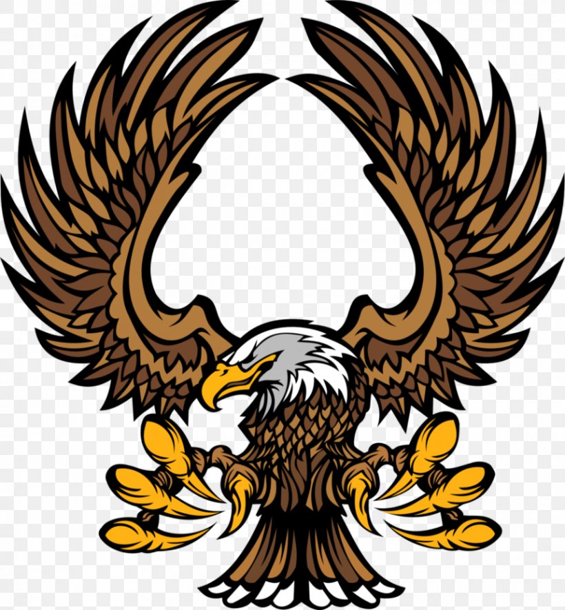 Royalty-free Clip Art, PNG, 860x929px, Royaltyfree, Art, Artwork, Bald Eagle, Beak Download Free