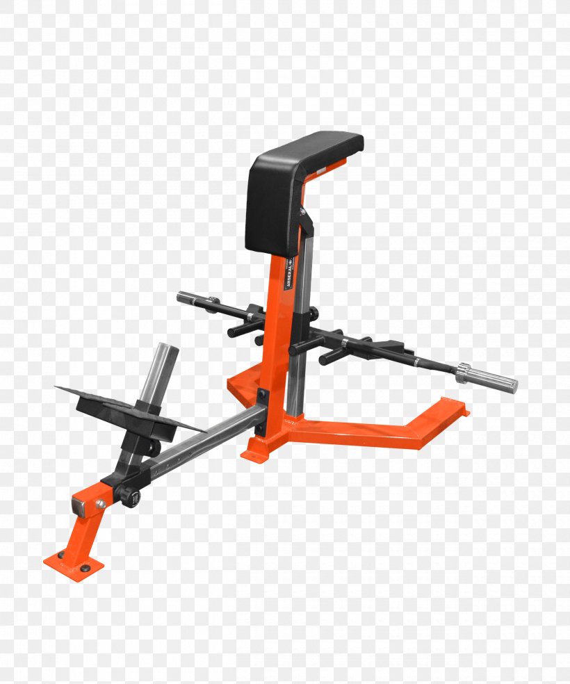 Bench Bent-over Row Fitness Centre Exercise Equipment, PNG, 2500x3000px, Bench, Automotive Exterior, Barbell, Bench Press, Bentover Row Download Free