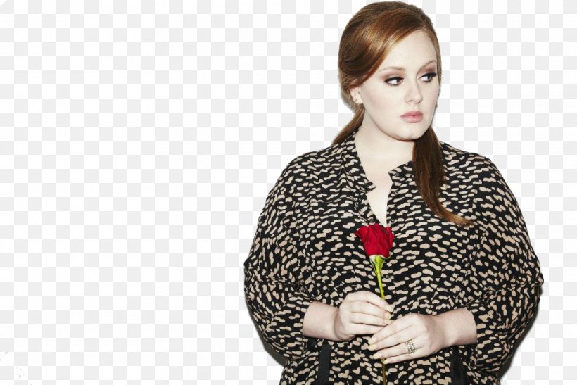 Adele High-definition Video High-definition Television 1080p Wallpaper, PNG, 960x641px, Watercolor, Cartoon, Flower, Frame, Heart Download Free