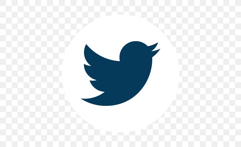 Social Media User, PNG, 500x500px, Social Media, Beak, Bird, Blog, Logo Download Free
