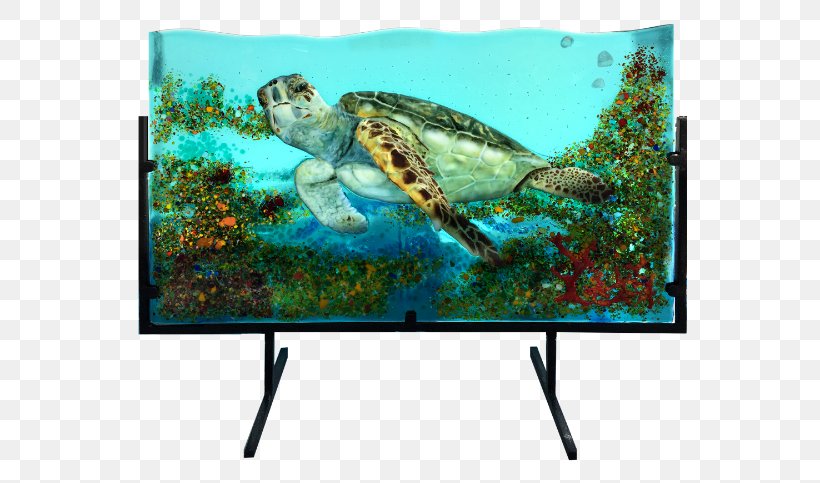 Loggerhead Sea Turtle Fused Glass Dichroic Glass, PNG, 600x483px, Loggerhead Sea Turtle, Advertising, Bowl, Dichroic Glass, Display Device Download Free