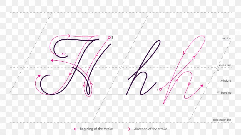 Logo Brand Line Font, PNG, 854x480px, Logo, Area, Brand, Calligraphy, Diagram Download Free
