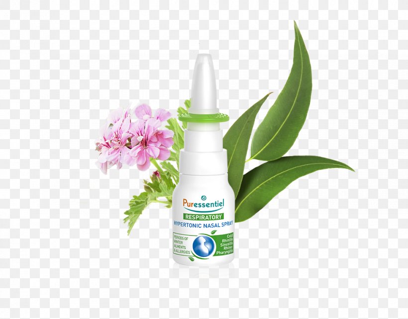 Nasal Spray Eucalyptus Radiata Nasal Congestion Nose Seawater, PNG, 970x760px, Nasal Spray, Breathing, Common Cold, Essential Oil, Eucalyptus Oil Download Free