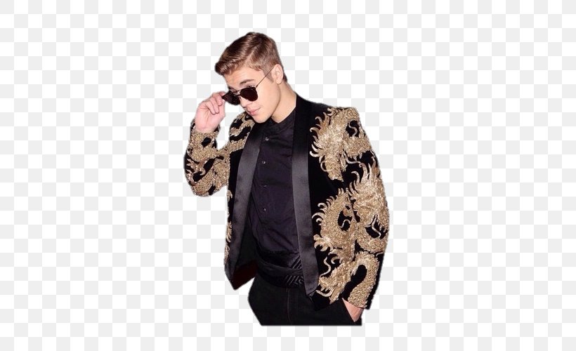 Purpose World Tour Celebrity Song, PNG, 500x500px, Purpose World Tour, Blog, Celebrity, Female, Fur Download Free