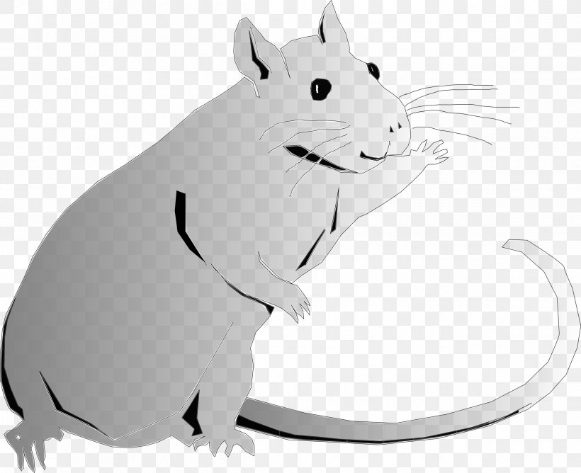 Rat Clip Art Vector Graphics, PNG, 2400x1957px, Rat, Black And White, Carnivoran, Dog Like Mammal, Drawing Download Free
