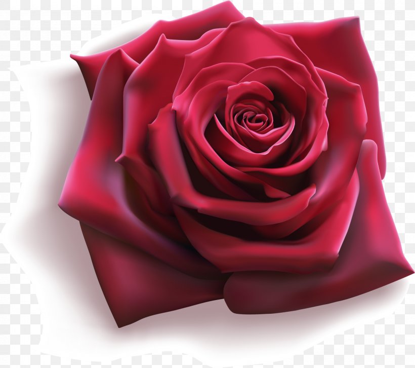 Rose Flower Illustration, PNG, 2000x1772px, Rose, Black Rose, Blue Rose, Cut Flowers, Floral Design Download Free