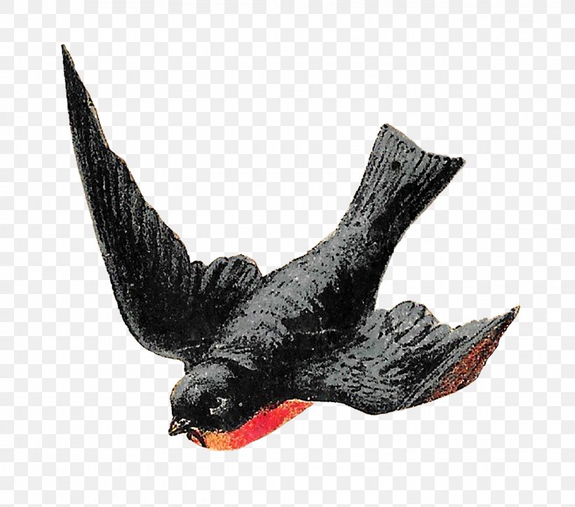Bird Beak Flight Clip Art, PNG, 1600x1414px, Bird, Animal, Beak, Columbidae, Digital Image Download Free
