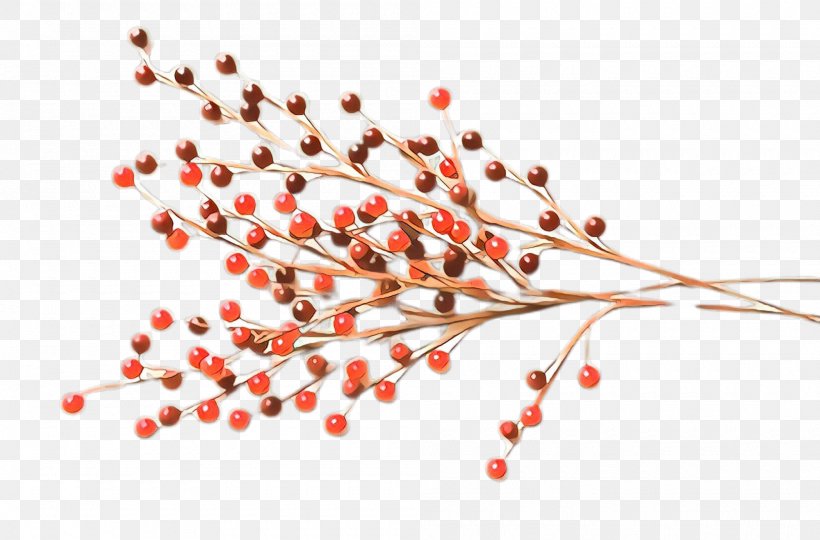 Red Pink Peppercorn Plant Tree Branch, PNG, 2000x1319px, Red, Branch, Flower, Pink Peppercorn, Plant Download Free