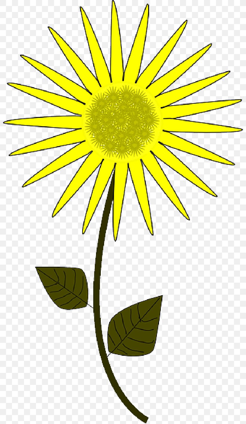 Vector Graphics Drawing Clip Art Cartoon Sunflower, PNG, 800x1410px, Drawing, Animated Cartoon, Animation, Botany, Camomile Download Free