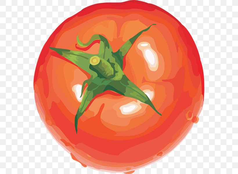 Vegetable Vegetarian Cuisine Fruit Cherry Tomato Clip Art, PNG, 589x600px, Vegetable, Cherry Tomato, Food, Fruit, Fruit Vegetable Download Free