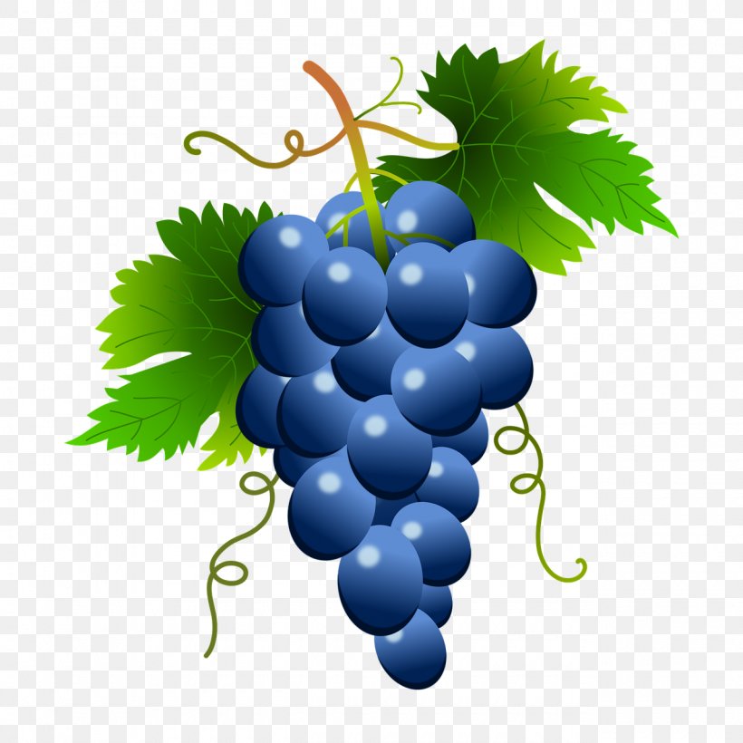 Common Grape Vine Wine Clip Art Food, PNG, 1280x1280px, Common Grape Vine, Blue, Can Stock Photo, Flowering Plant, Food Download Free