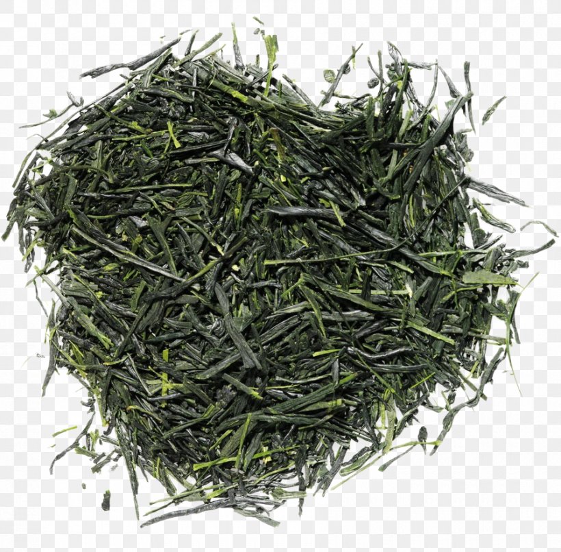 Gyokuro Nilgiri Tea Sparoza Blends Romeritos, PNG, 900x885px, Gyokuro, Assam Tea, Bai Mudan, Baihao Yinzhen, Bancha Download Free