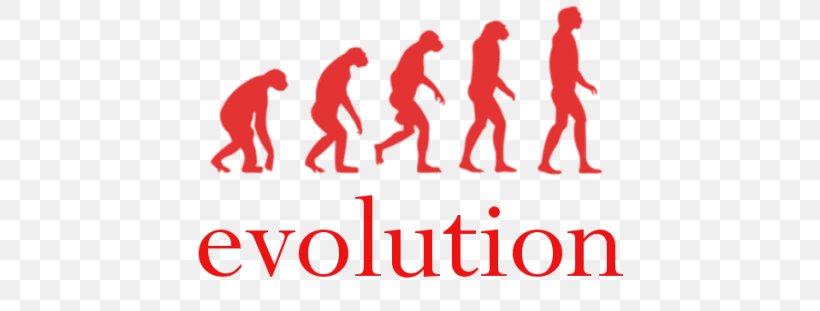 Human Evolution Homo Sapiens The Origin Of Brands Ape, PNG, 640x311px, Evolution, Ape, Area, Brand, Bumper Sticker Download Free
