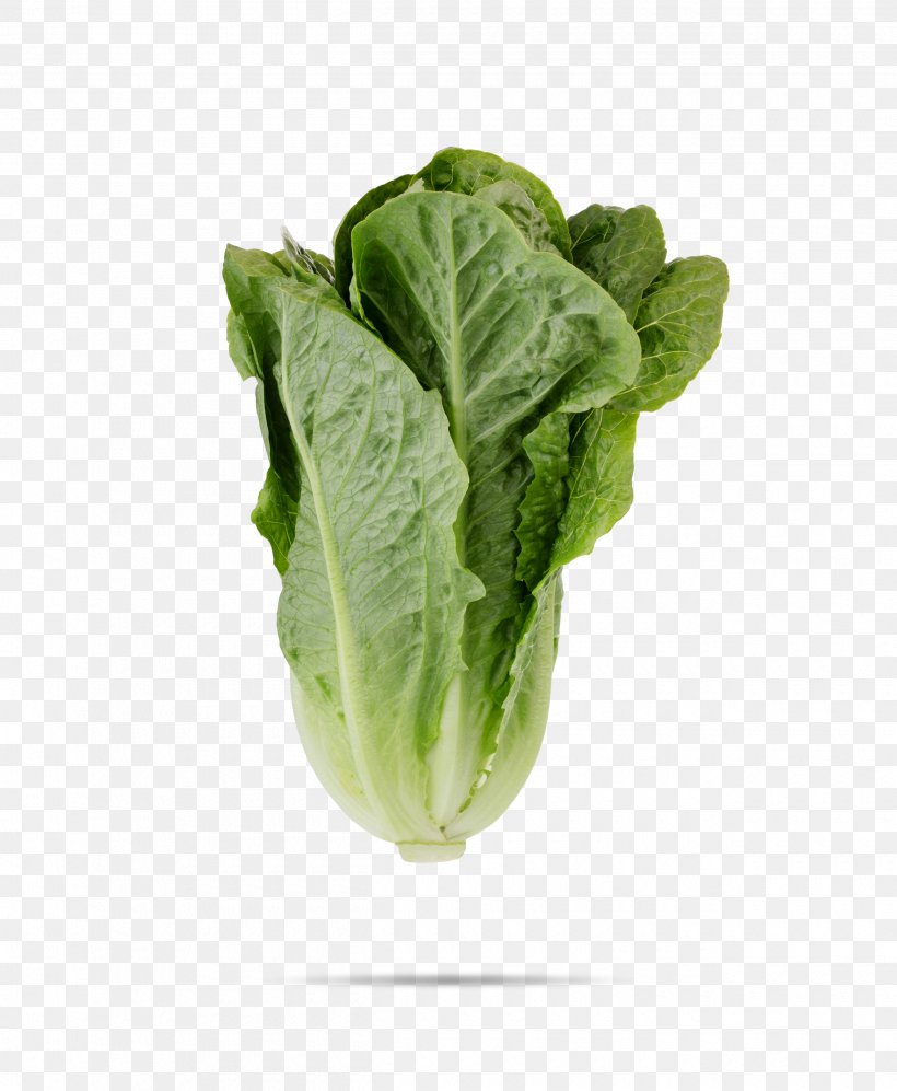 Leaf Vegetable Romaine Lettuce Salad Cruciferous Vegetables, PNG, 2500x3041px, Vegetable, Cabbage, Chard, Choy Sum, Collard Greens Download Free