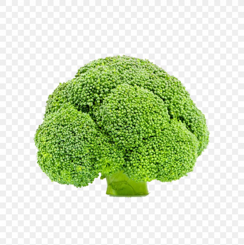 Broccoli Vegetable Cauliflower, PNG, 1020x1024px, Broccoli, Cabbage, Cauliflower, Food, Grass Download Free