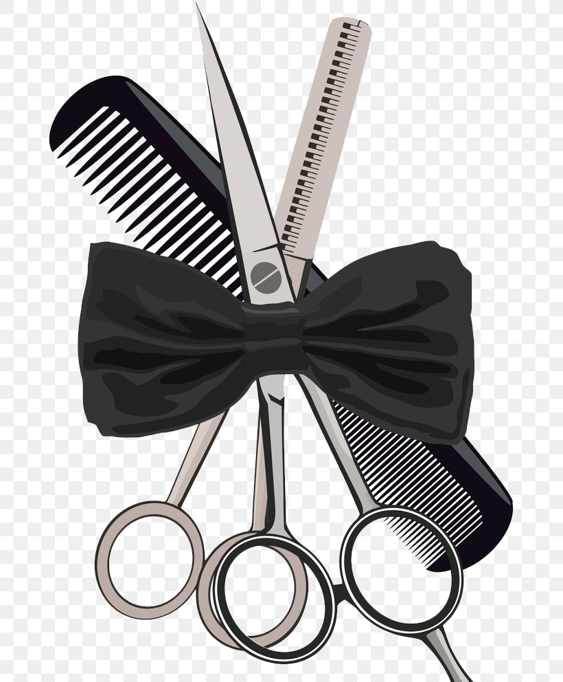 Comb Hairdresser Scissors Beauty Parlour, PNG, 695x992px, Comb, Adhesive, Barber, Beauty, Beauty Parlour Download Free