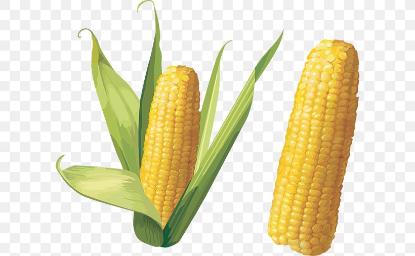 Corn On The Cob Sweet Corn Clip Art, PNG, 600x506px, Corn On The Cob, Commodity, Corn Kernel, Corn Kernels, Corncob Download Free