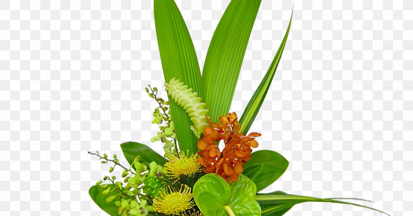 Floral Design Flower Bouquet Floristry Honolulu, PNG, 1200x630px, Floral Design, Aloha, Aquarium Decor, Cut Flowers, Floristry Download Free