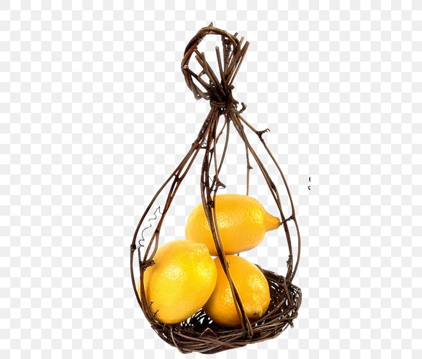 Lemon, PNG, 387x699px, Lemon, Citrus, Food, Fruit Download Free