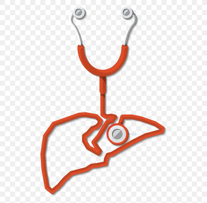Liver Medicine Stethoscope Health, PNG, 550x805px, Liver, Disease, Fashion Accessory, Finger, Health Download Free