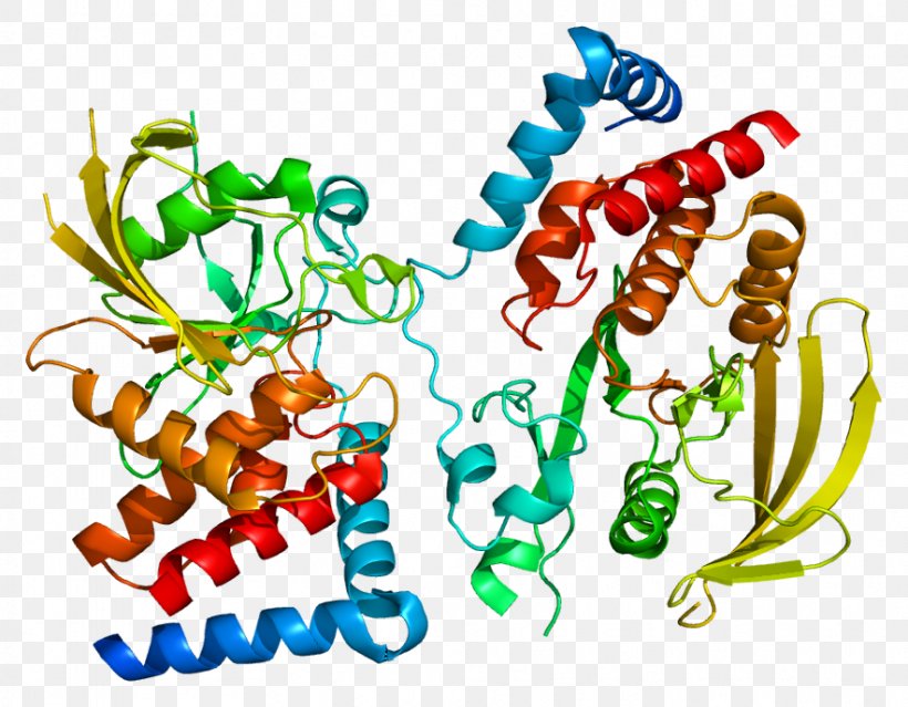 PTPRG Protein Receptor Tyrosine Phosphatase PTPRD PTPRJ, PNG, 883x689px, Watercolor, Cartoon, Flower, Frame, Heart Download Free