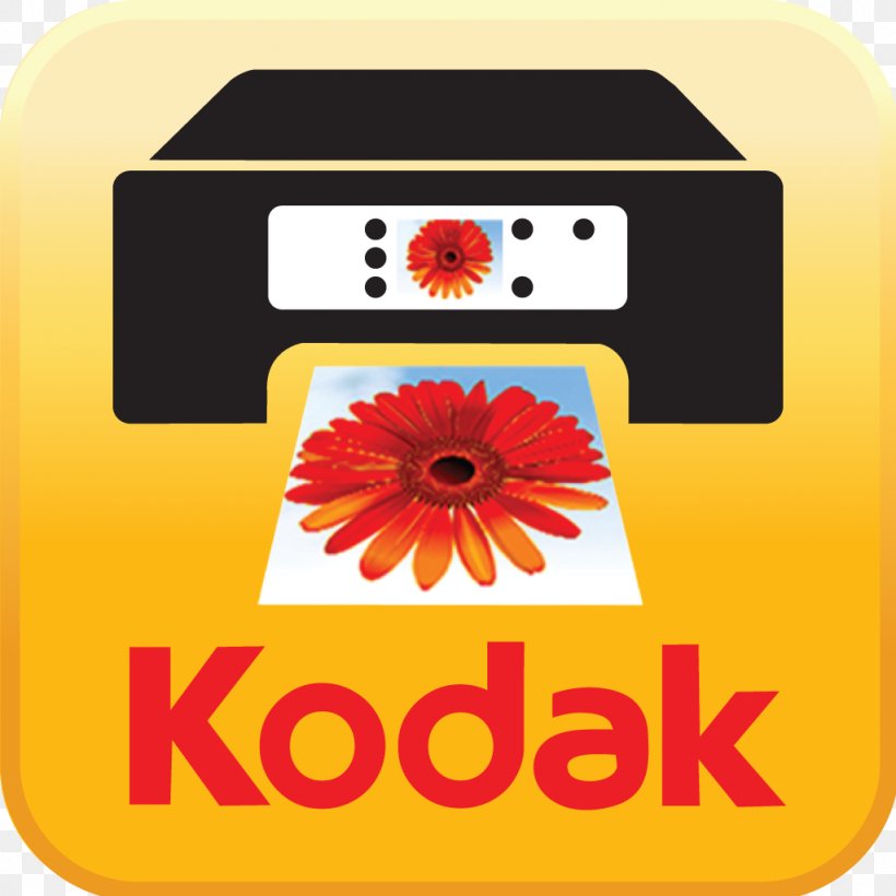 Bradford & Bigelow Kodak Logo Business Photography, PNG, 1024x1024px, Kodak, Brand, Business, Corporate Design, Flower Download Free