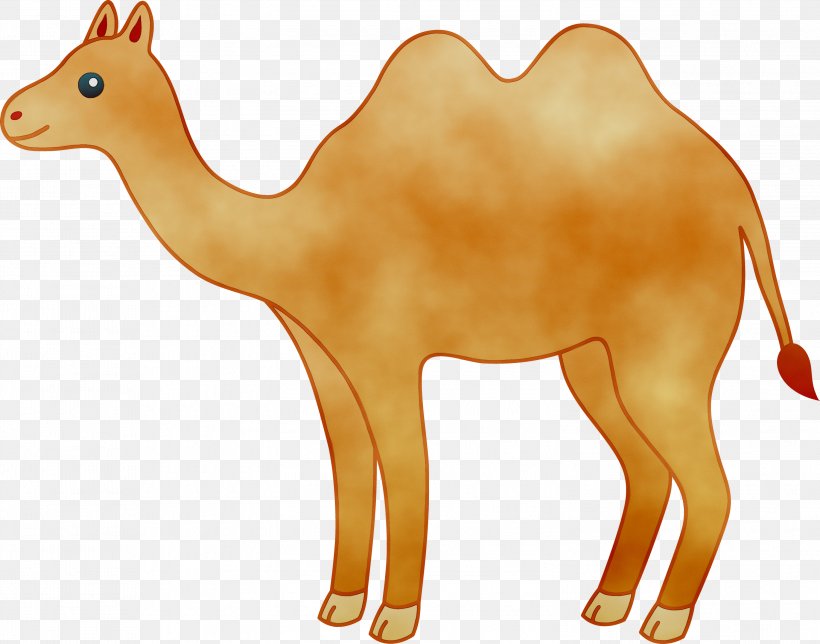 Clip Art Camel Vector Graphics Free Content, PNG, 2999x2356px, Camel, Animal Figure, Arabian Camel, Art, Bactrian Camel Download Free