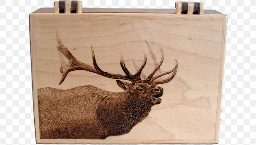 Deer Elk Pyrography Wood Art, PNG, 800x463px, Deer, Antler, Art, Box, Craft Download Free