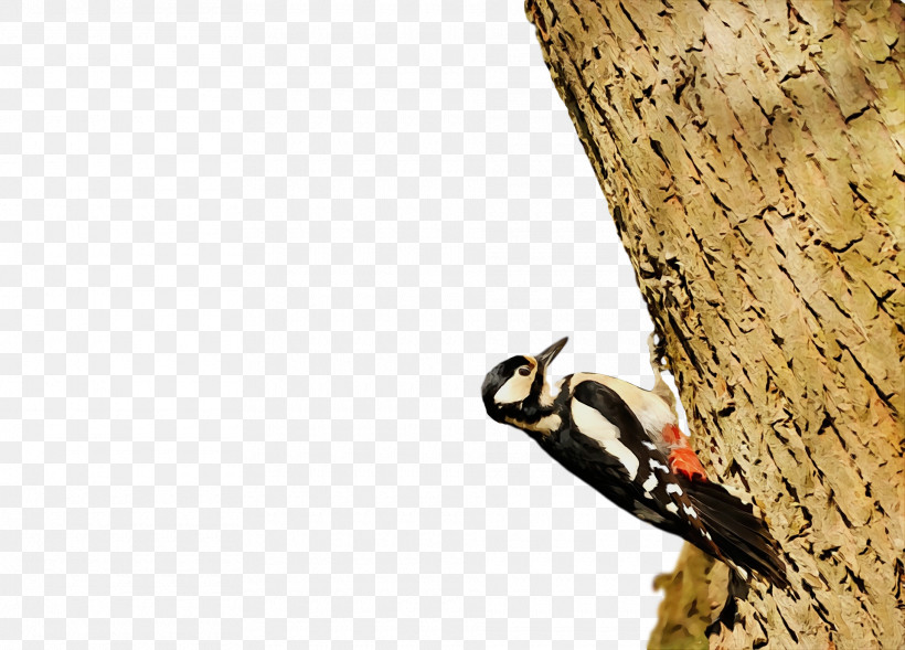 /m/083vt Wood M-tree Tree, PNG, 1920x1380px, Watercolor, Adventure, M083vt, Mtree, Paint Download Free