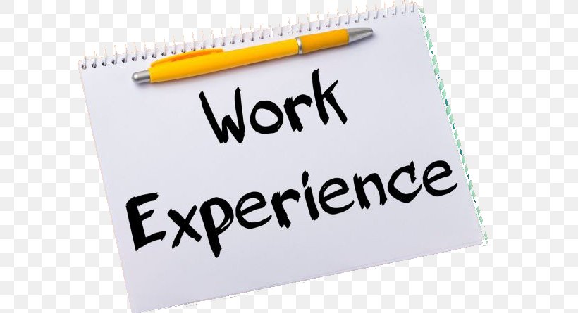 Work Experience Student Intern School, PNG, 800x445px, Work Experience, Brand, Career, Curriculum Vitae, Education Download Free