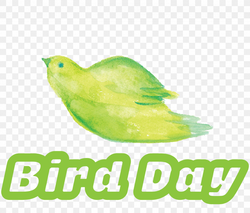 Bird Day Happy Bird Day International Bird Day, PNG, 3000x2553px, Bird Day, Beak, Biology, Birds, Green Download Free